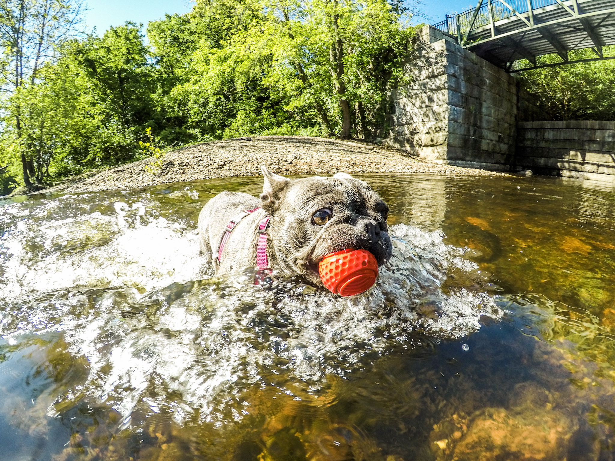 79f4cb0a41414873f19780a7e9bd01fd