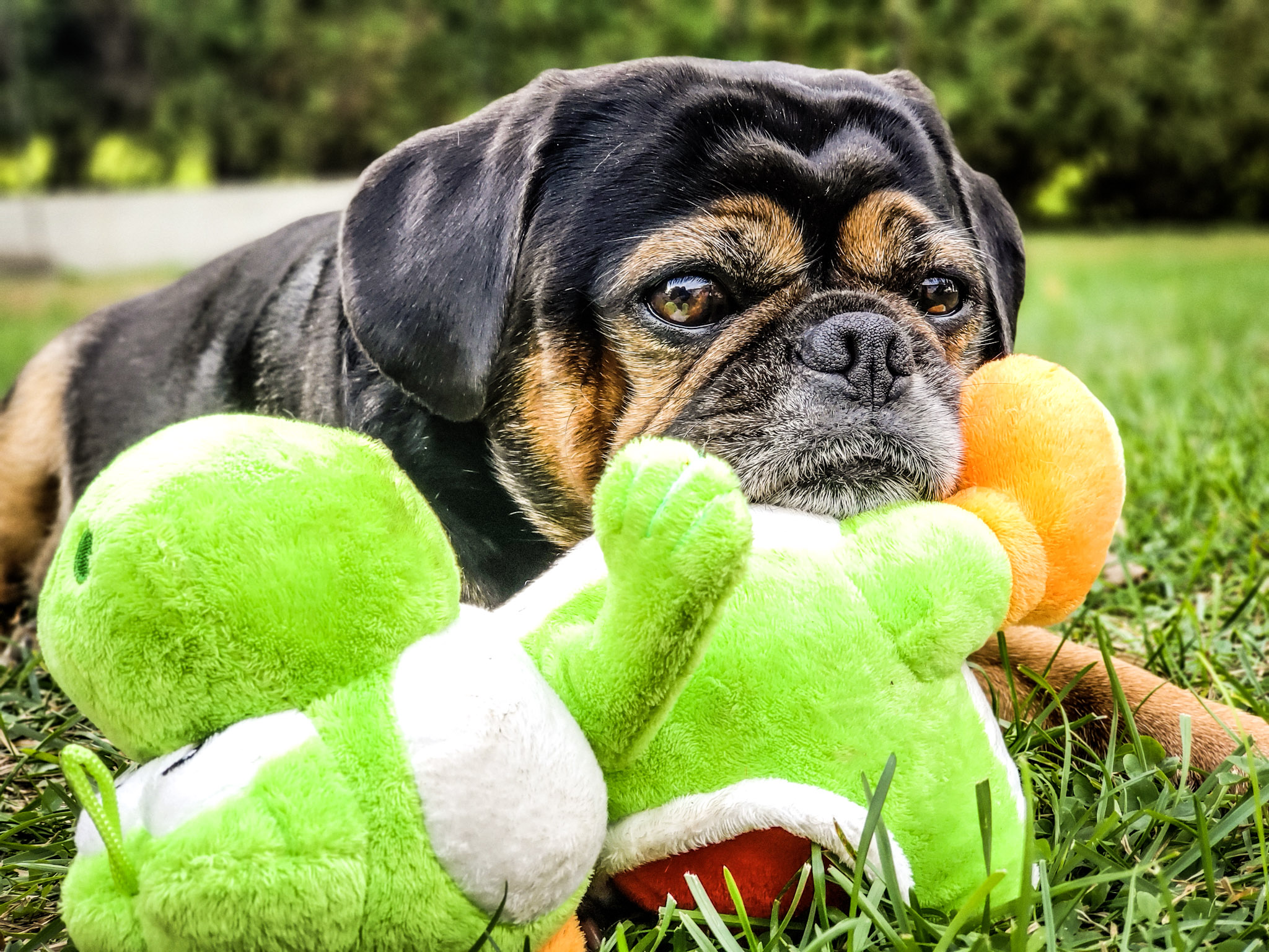 7fad3bacbf13a8443a35c6989fbbb914